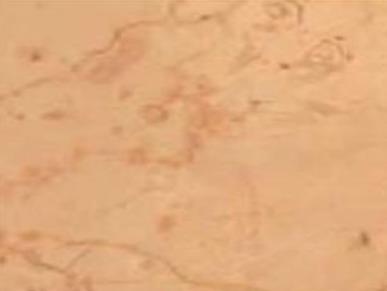 Golpazari Beige