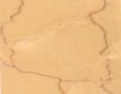 Dragon Beige